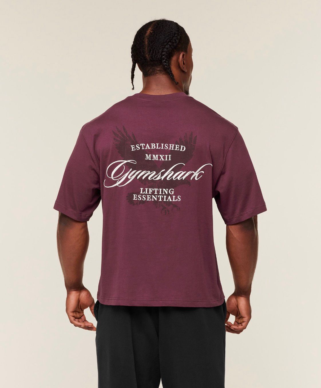 Eagle Script Graphic T-Shirt Impact Burgundy
