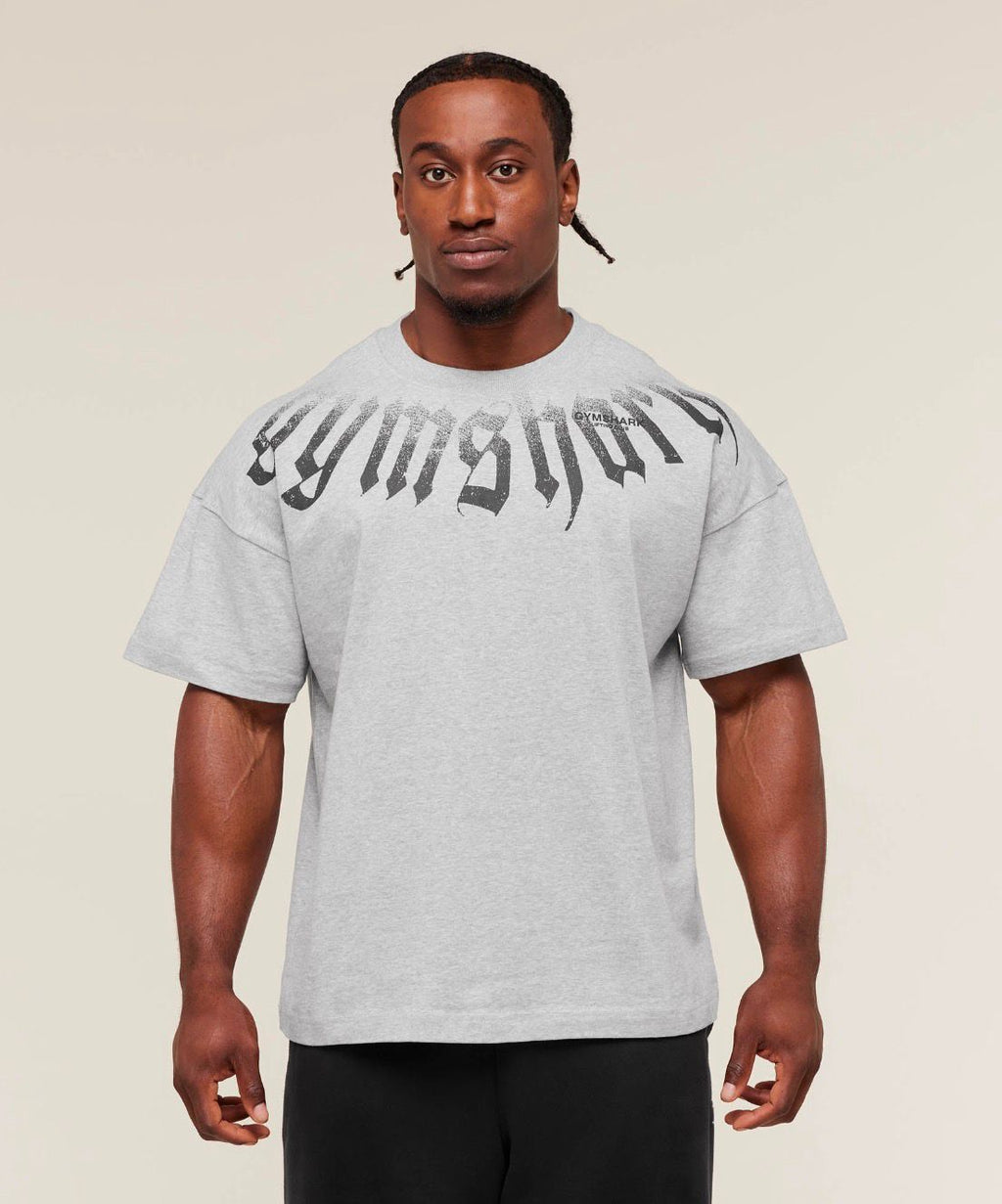 Fade Graphic T-Shirt Light Grey