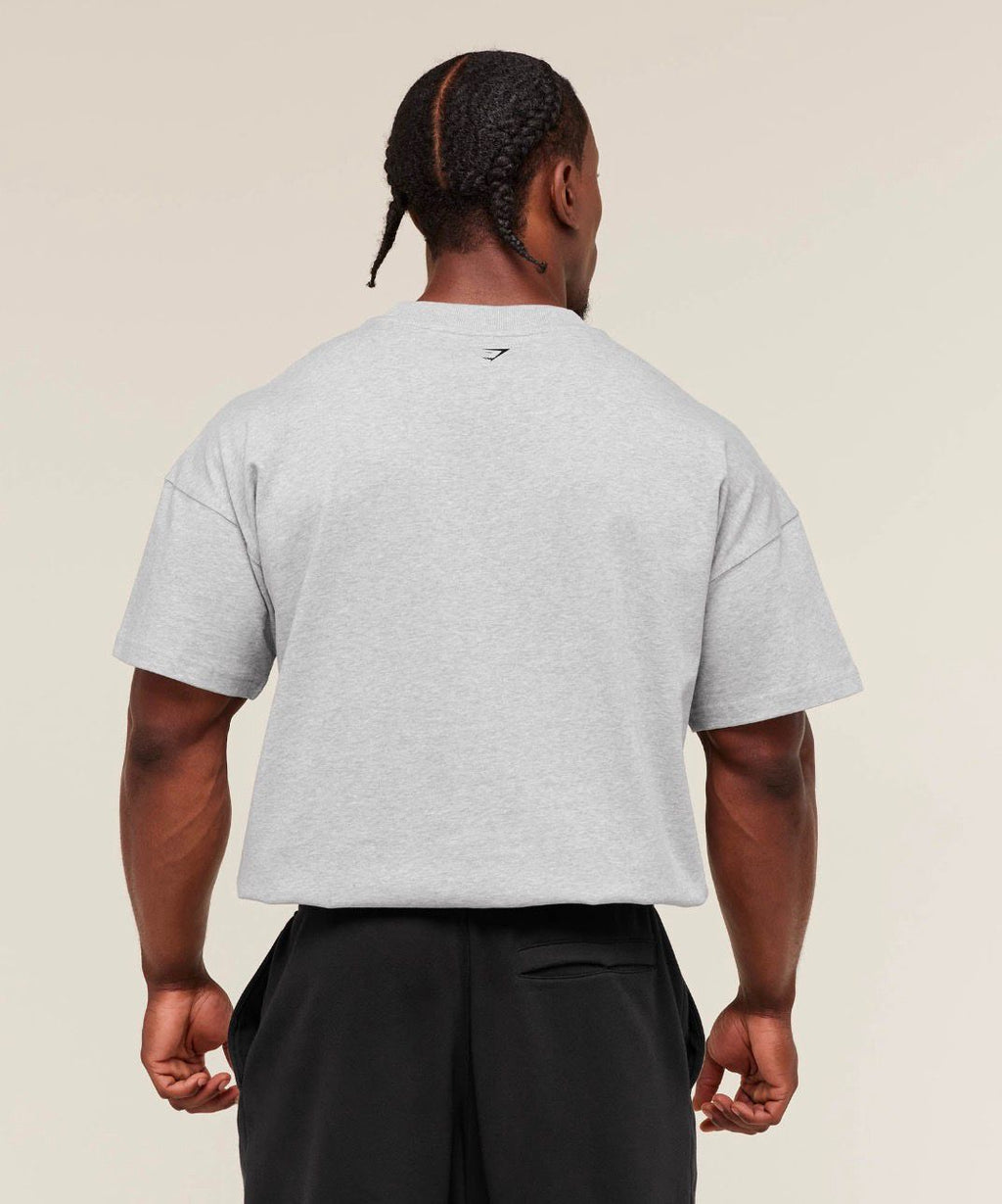 Fade Graphic T-Shirt Light Grey