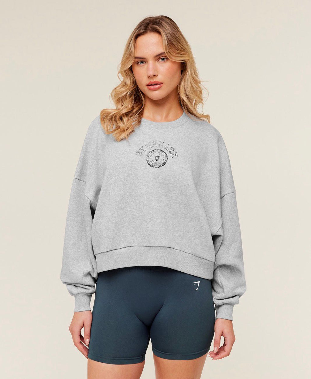 Worn Crest Graphic Sweatshirt Light Grey